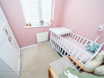 Picture 16